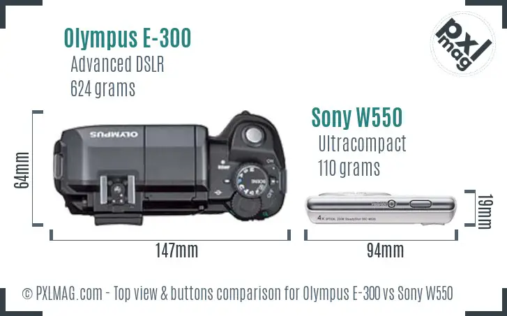 Olympus E-300 vs Sony W550 top view buttons comparison