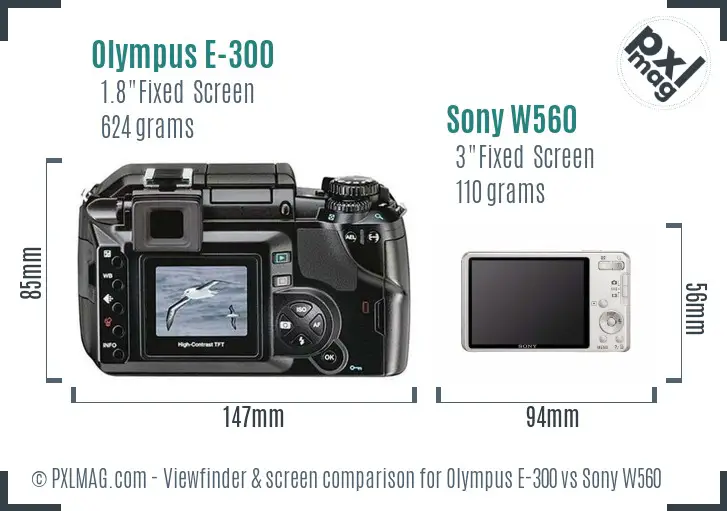 Olympus E-300 vs Sony W560 Screen and Viewfinder comparison
