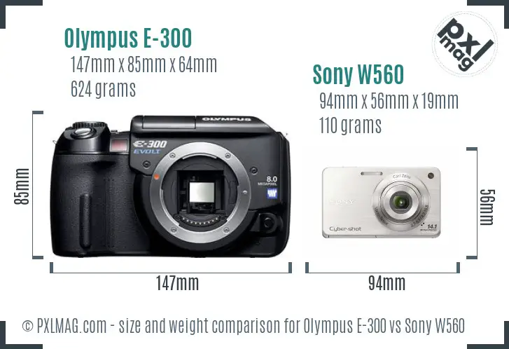 Olympus E-300 vs Sony W560 size comparison