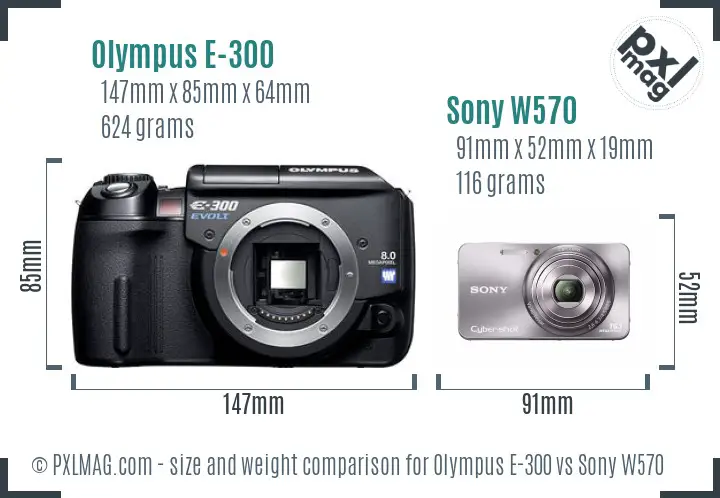 Olympus E-300 vs Sony W570 size comparison