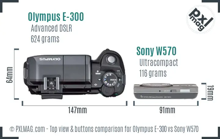 Olympus E-300 vs Sony W570 top view buttons comparison