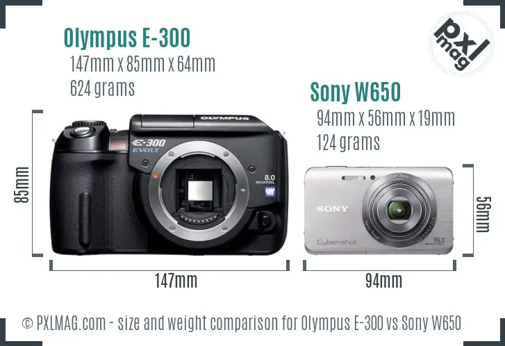 Olympus E-300 vs Sony W650 size comparison Olympus E-300 vs Sony W650 size comparison