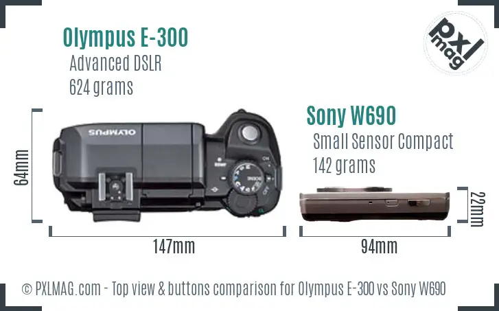 Olympus E-300 vs Sony W690 top view buttons comparison