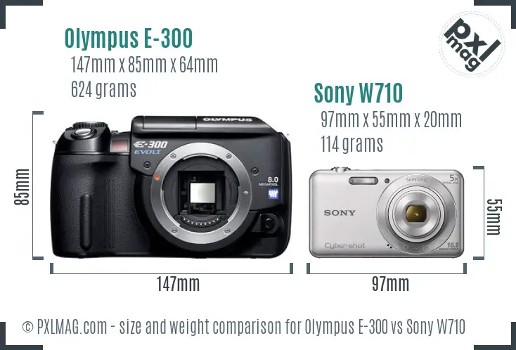 Olympus E-300 vs Sony W710 size comparison