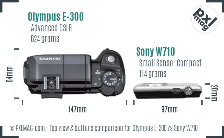 Olympus E-300 vs Sony W710 top view buttons comparison