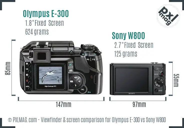 Olympus E-300 vs Sony W800 Screen and Viewfinder comparison