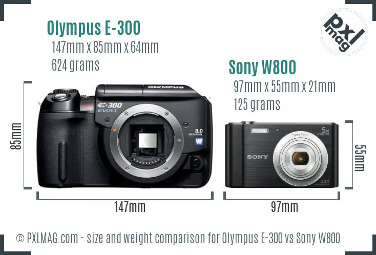 Olympus E-300 vs Sony W800 size comparison