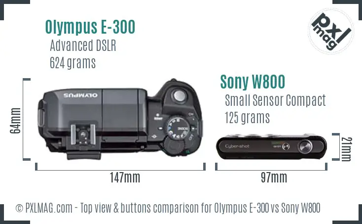 Olympus E-300 vs Sony W800 top view buttons comparison