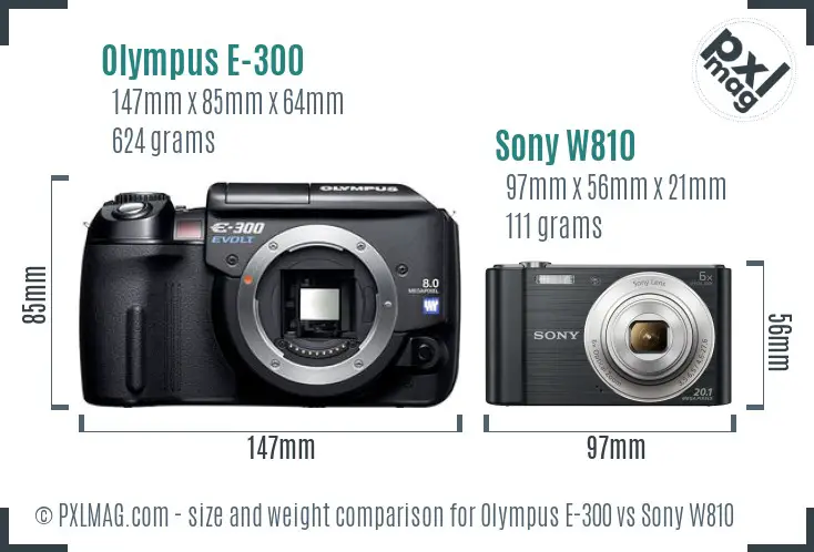 Olympus E-300 vs Sony W810 size comparison