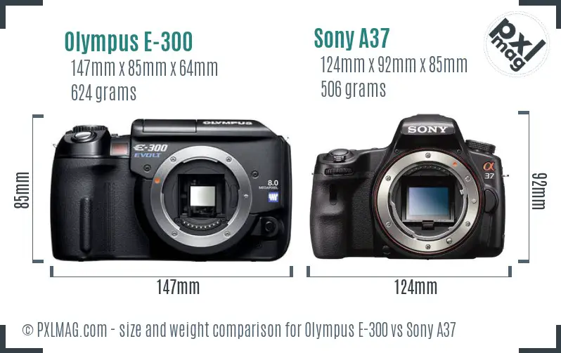 Olympus E-300 vs Sony A37 size comparison Olympus E-300 vs Sony A37 size comparison