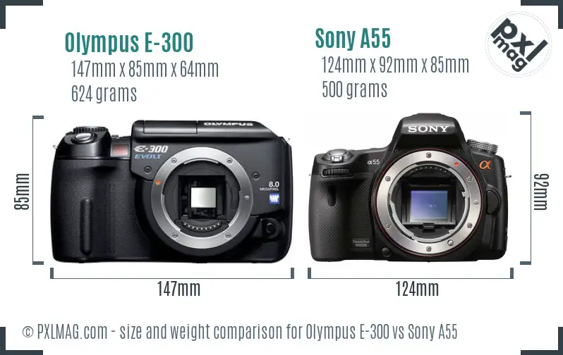 Olympus E-300 vs Sony A55 size comparison