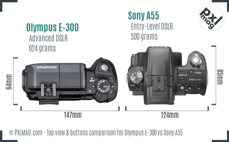 Olympus E-300 vs Sony A55 top view buttons comparison