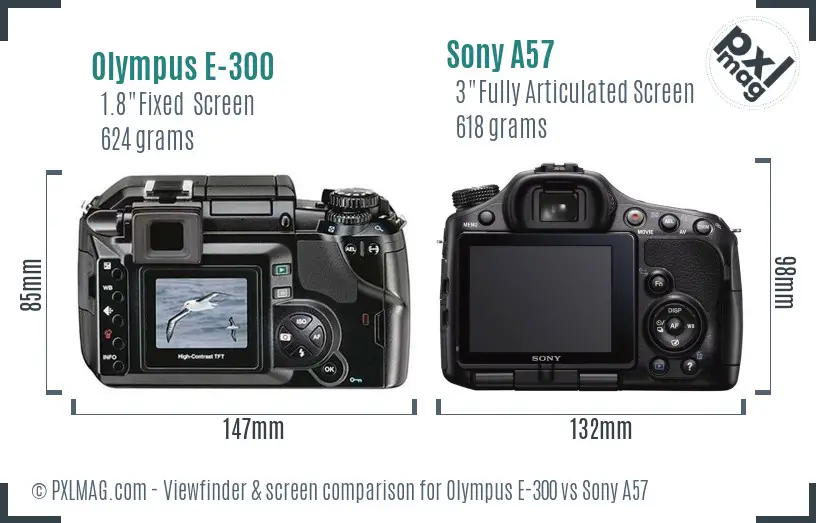 Olympus E-300 vs Sony A57 Screen and Viewfinder comparison Olympus E-300 vs Sony A57 Screen and Viewfinder comparison
