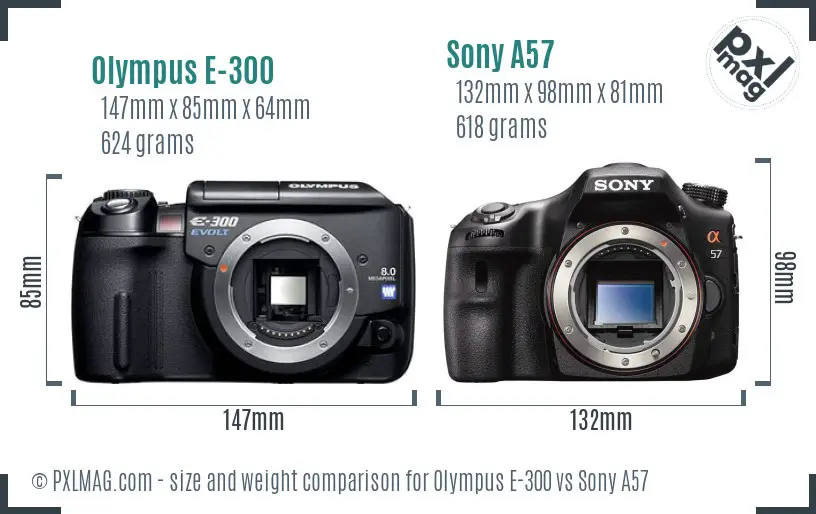 Olympus E-300 vs Sony A57 size comparison Olympus E-300 vs Sony A57 size comparison