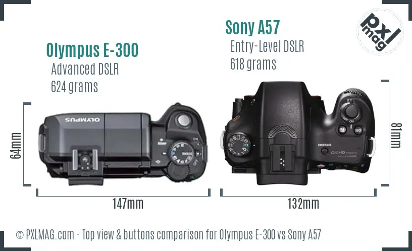 Olympus E-300 vs Sony A57 top view buttons comparison Olympus E-300 vs Sony A57 top view buttons comparison