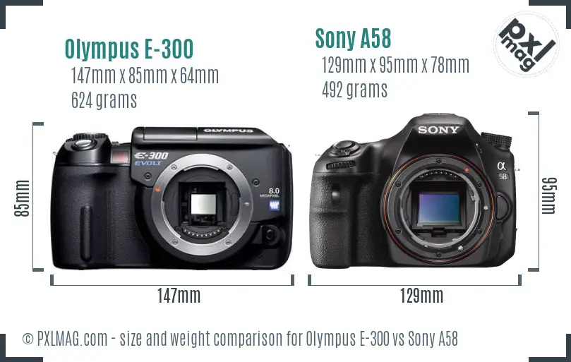 Olympus E-300 vs Sony A58 size comparison