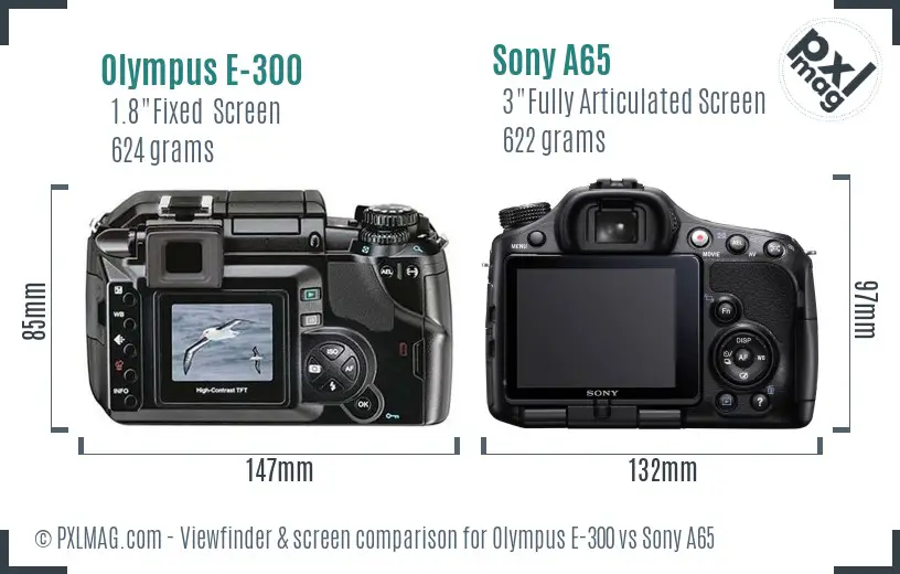 Olympus E-300 vs Sony A65 Screen and Viewfinder comparison