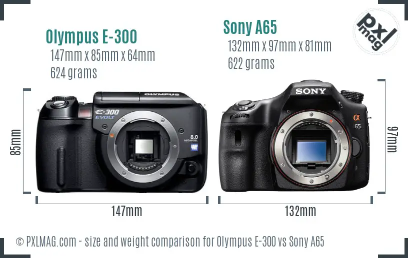 Olympus E-300 vs Sony A65 size comparison