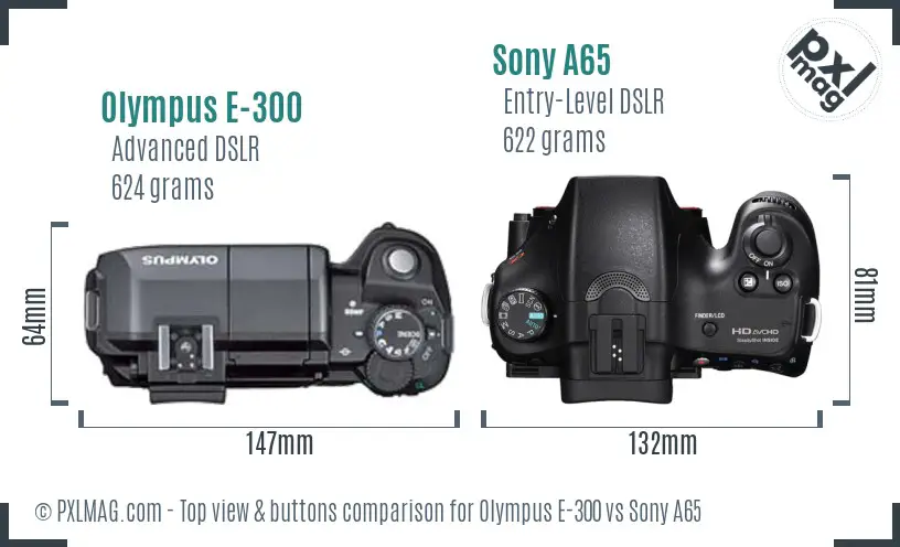 Olympus E-300 vs Sony A65 top view buttons comparison