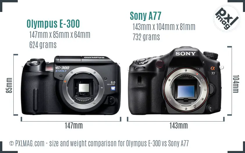 Olympus E-300 vs Sony A77 size comparison