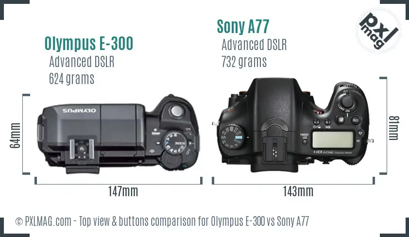 Olympus E-300 vs Sony A77 top view buttons comparison