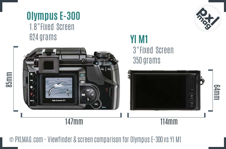 Olympus E-300 vs YI M1 Screen and Viewfinder comparison