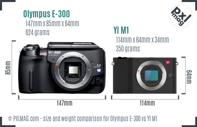 Olympus E-300 vs YI M1 size comparison