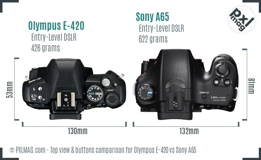 Olympus E-420 vs Sony A65 top view buttons comparison