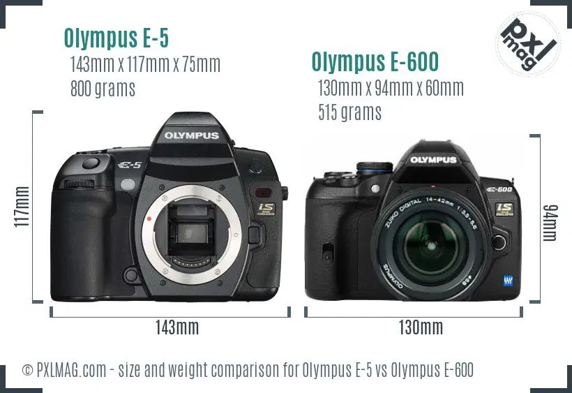 Olympus E-5 vs Olympus E-600 size comparison
