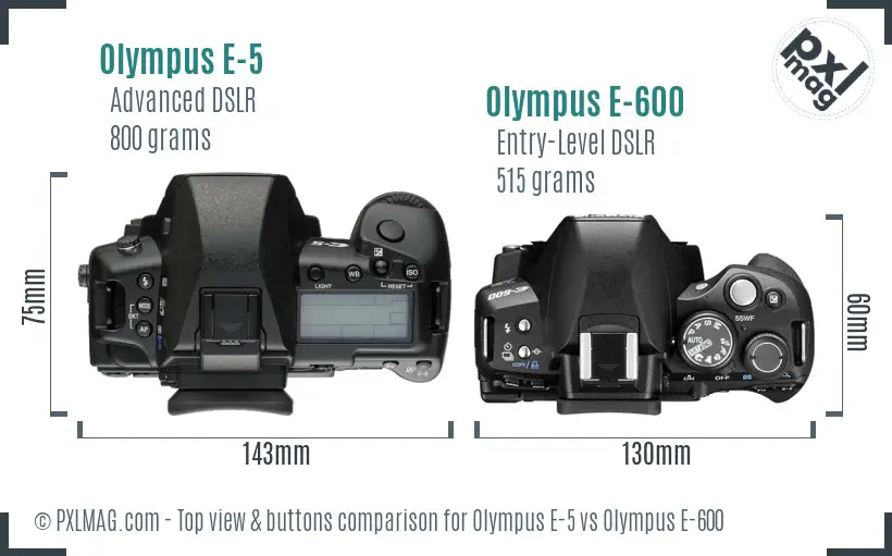 Olympus E-5 vs Olympus E-600 top view buttons comparison
