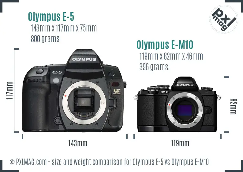 Olympus E-5 vs Olympus E-M10 size comparison