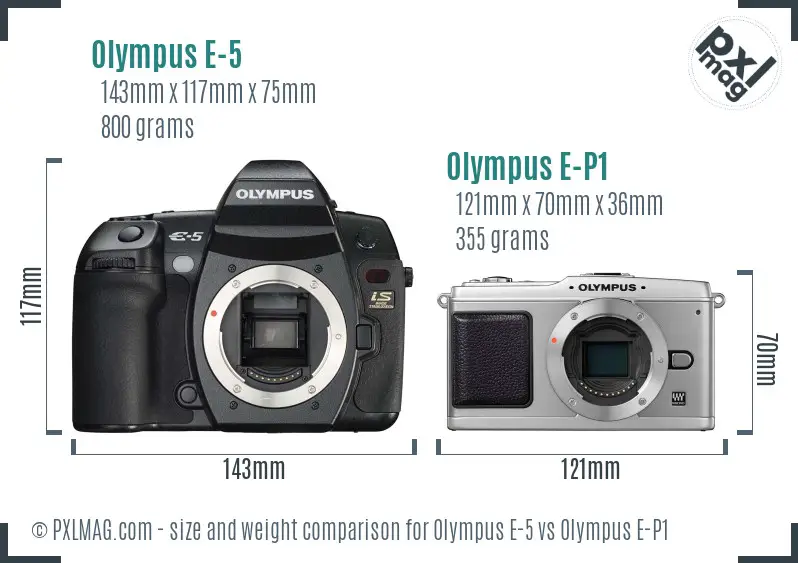 Olympus E-5 vs Olympus E-P1 size comparison