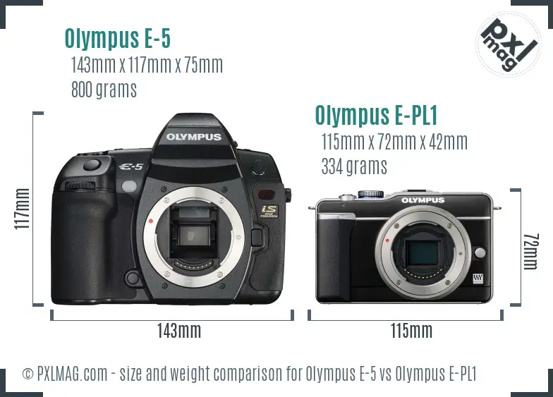 Olympus E-5 vs Olympus E-PL1 size comparison