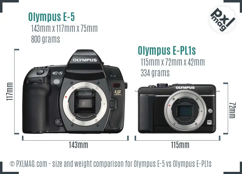 Olympus E-5 vs Olympus E-PL1s size comparison