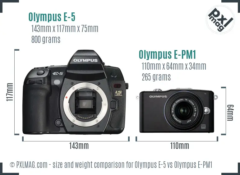 Olympus E-5 vs Olympus E-PM1 size comparison