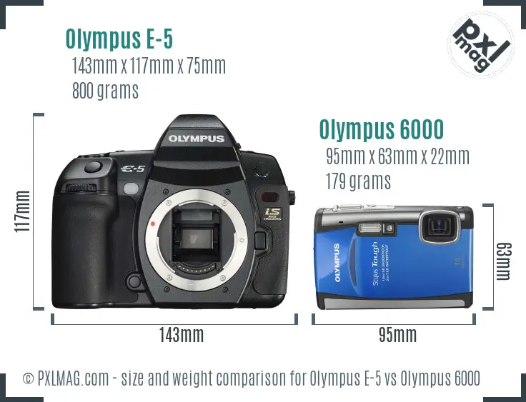 Olympus E-5 vs Olympus 6000 size comparison