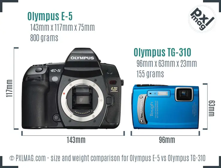 Olympus E-5 vs Olympus TG-310 size comparison