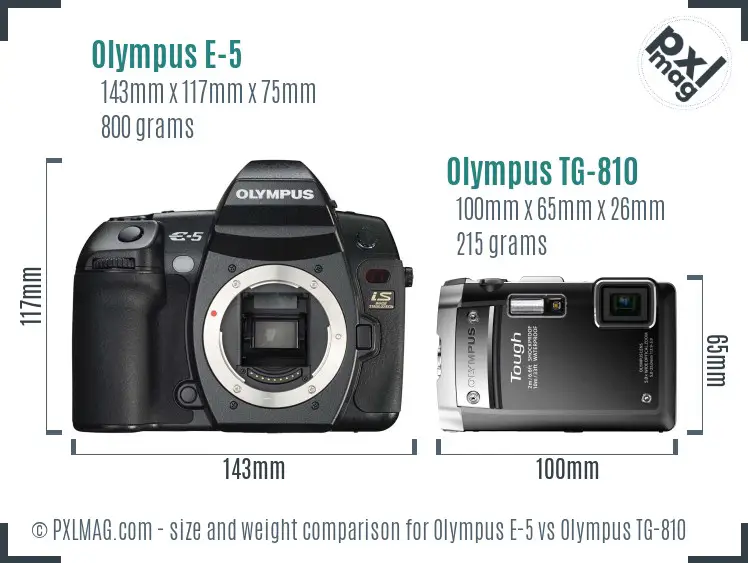 Olympus E-5 vs Olympus TG-810 size comparison