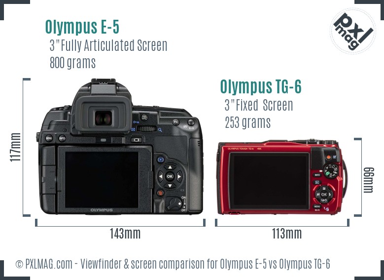 Olympus E-5 vs Olympus TG-6 Screen and Viewfinder comparison