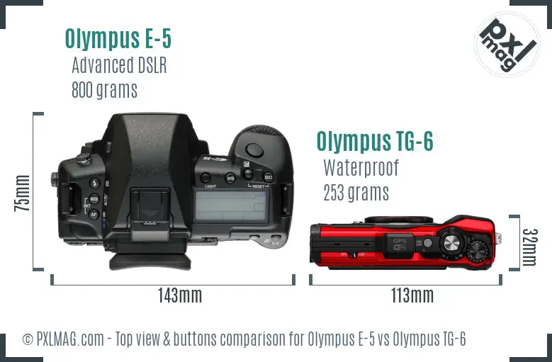 Olympus E-5 vs Olympus TG-6 top view buttons comparison
