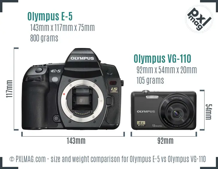 Olympus E-5 vs Olympus VG-110 size comparison