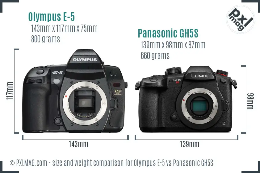 Olympus E-5 vs Panasonic GH5S size comparison