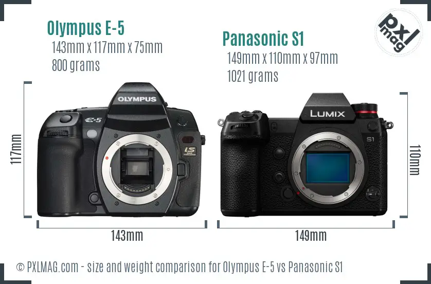 Olympus E-5 vs Panasonic S1 size comparison