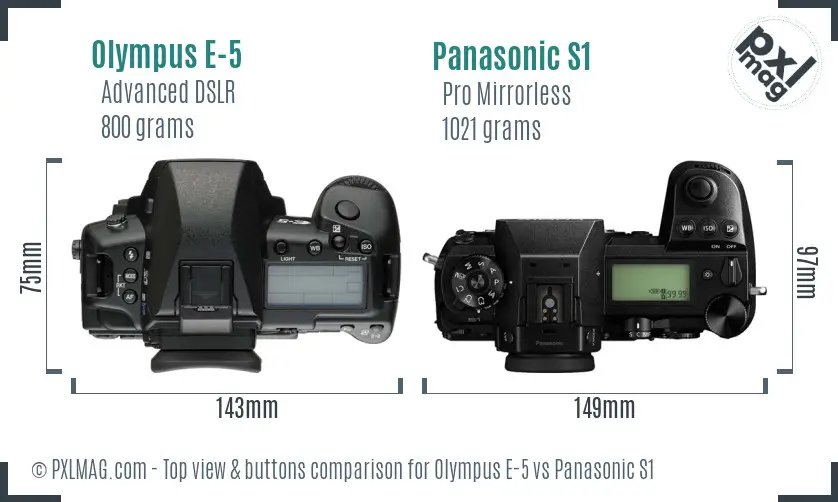 Olympus E-5 vs Panasonic S1 top view buttons comparison