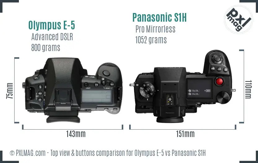 Olympus E-5 vs Panasonic S1H top view buttons comparison