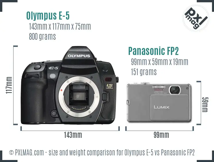 Olympus E-5 vs Panasonic FP2 size comparison
