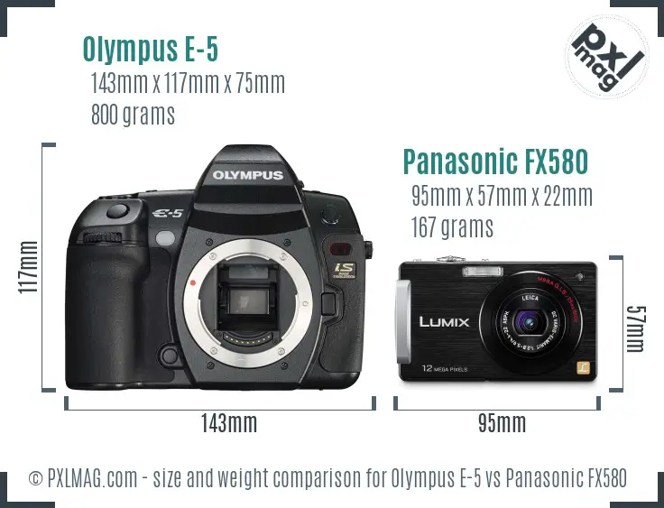 Olympus E-5 vs Panasonic FX580 size comparison