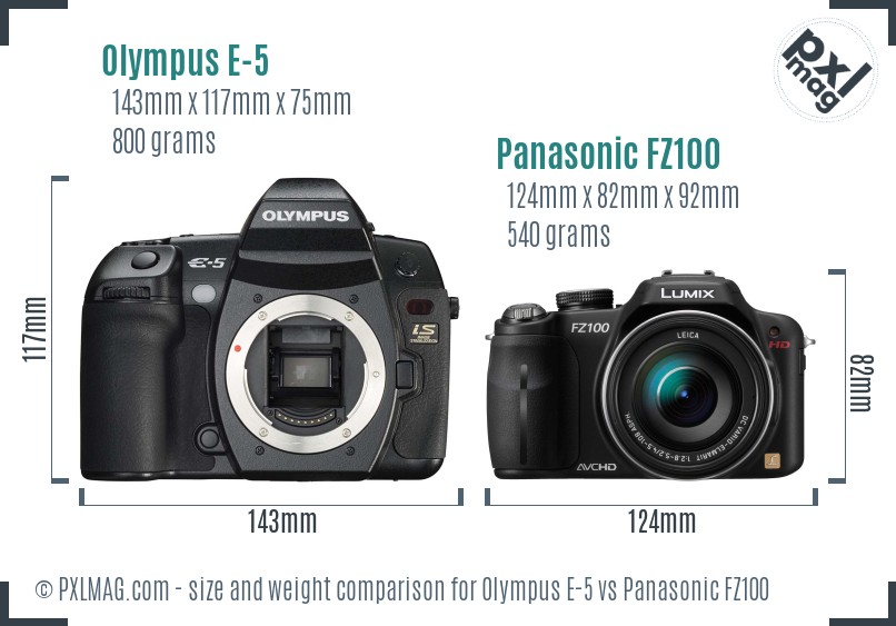 Olympus E-5 vs Panasonic FZ100 size comparison