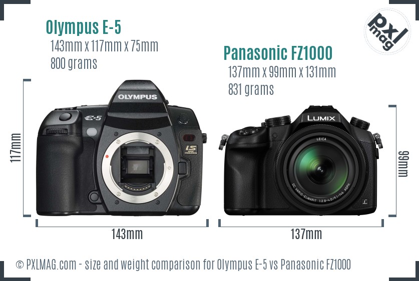 Olympus E-5 vs Panasonic FZ1000 size comparison