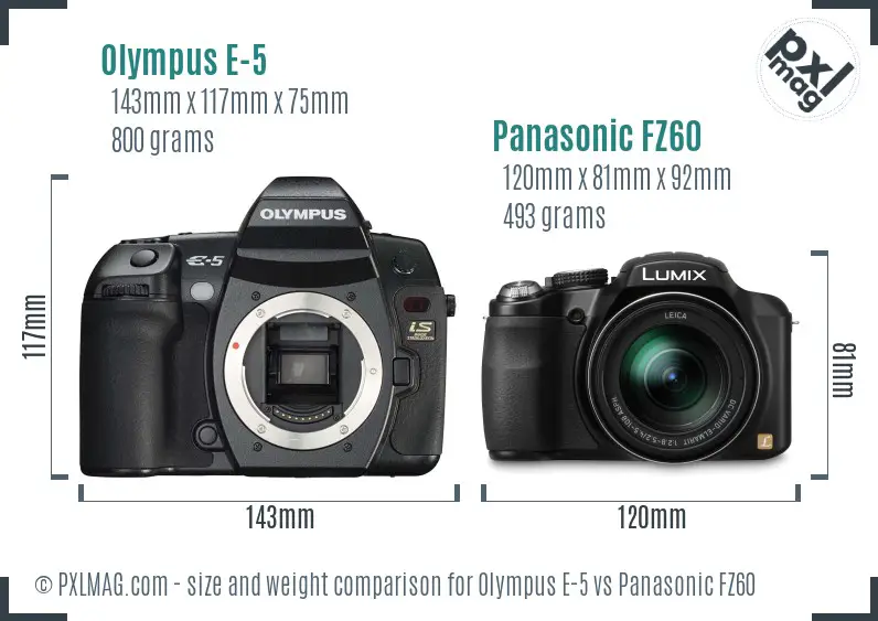 Olympus E-5 vs Panasonic FZ60 size comparison